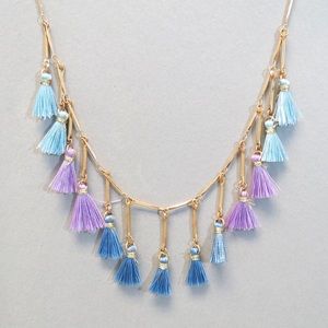 Pretty Tassel Necklace